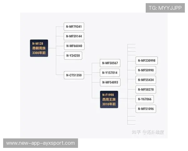 F1赛队人才流动分析：教练与工程师的迁徙图谱