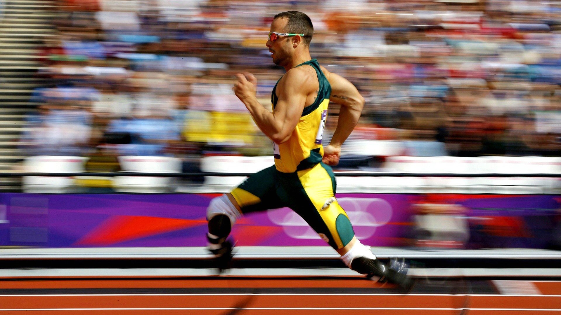 体育文化全球交流